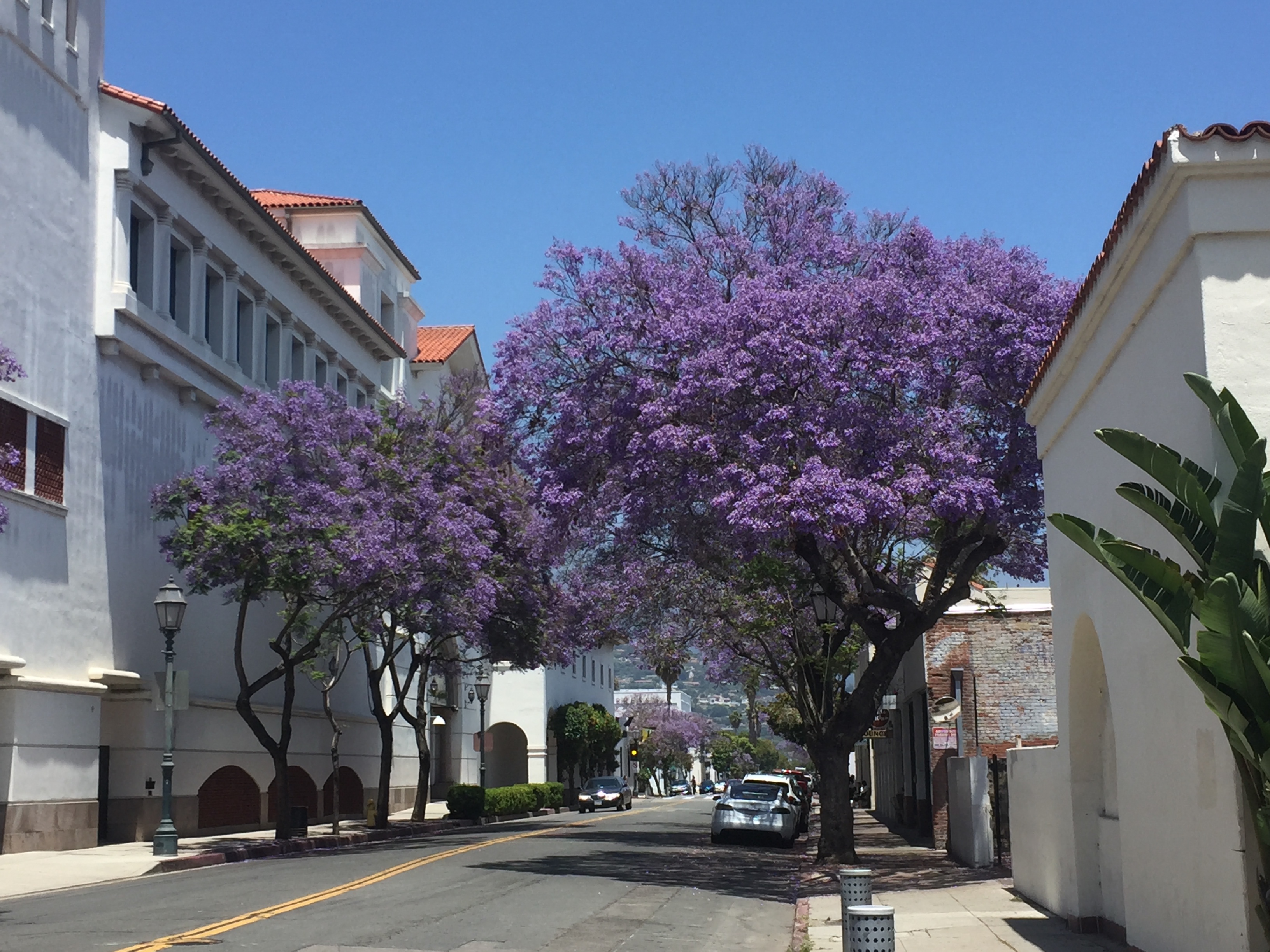 Downtown Santa Barbara